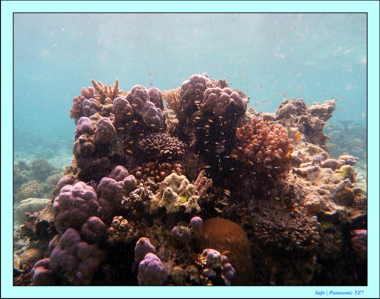 209   07   Sibuan 14